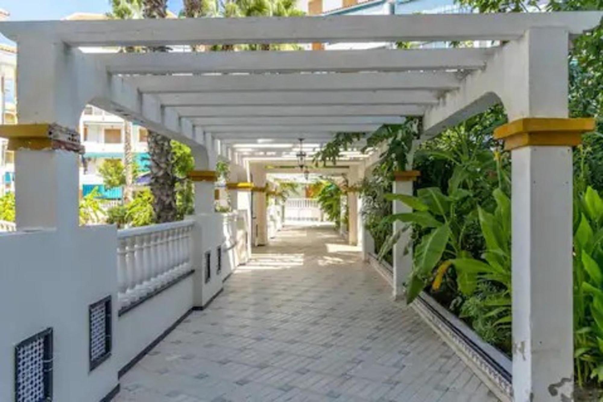 Pmt17 - Penthouse Apartment With Pool And Close To Beach La Mata  Kültér fotó